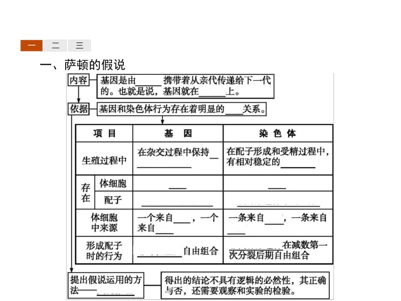 2019年秋高中生物人教版必修二精品课件：第2章 基因和染色体的关系2.2 .pdf_第3页