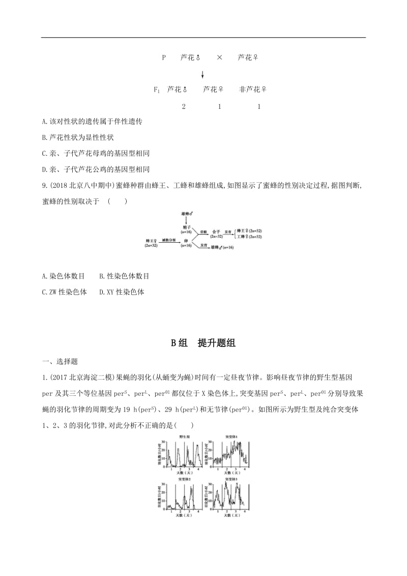 2020版高考生物（北京专用）一轮作业：第16讲　基因在染色体上、伴性遗传 Word版含解析.docx_第3页