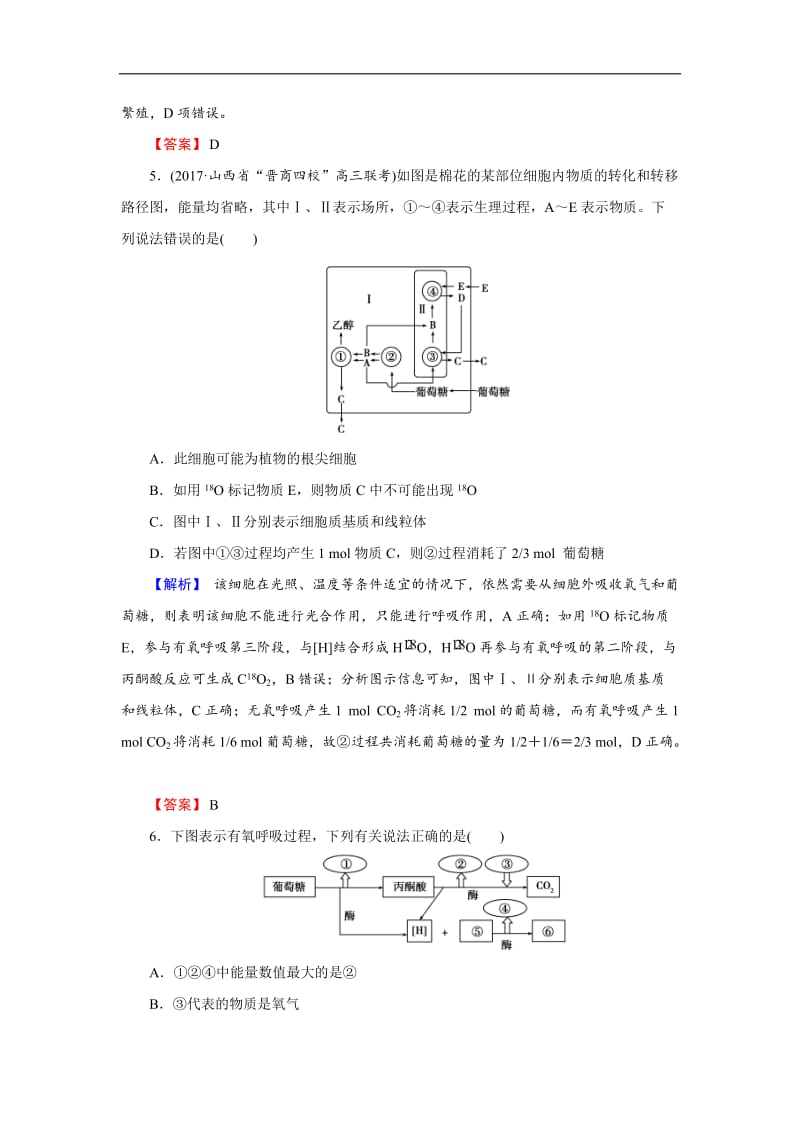 2020届高三生物总复习练习：第三单元 细胞的能量供应和利用3-9 Word版含解析.docx_第3页