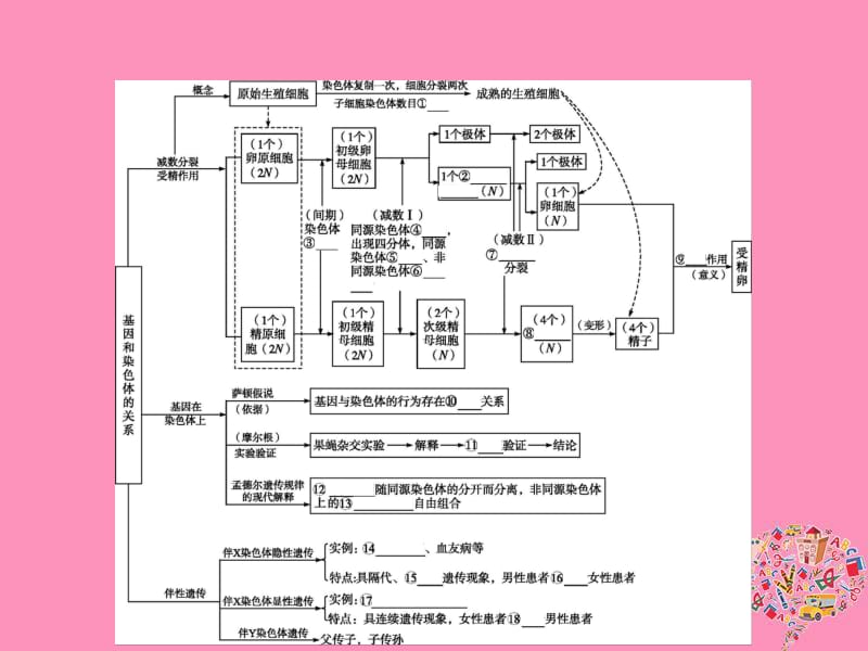 2019年秋高中生物第2章基因和染色体的关系本章整合课件新人教版必修2.pdf_第2页