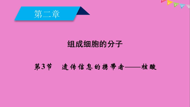 2019版高中生物必修1课件： 第二章 组成细胞的分子 第3节 遗传信息的携带者——核酸课件 新人教版必修1.ppt_第2页