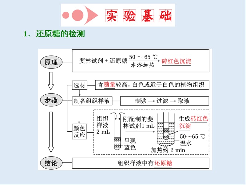 2019-2020学年高中新创新一轮复习生物通用版课件：必修1 第一单元 第3讲 检测生物组织中的糖类、脂肪和蛋白质.ppt_第3页