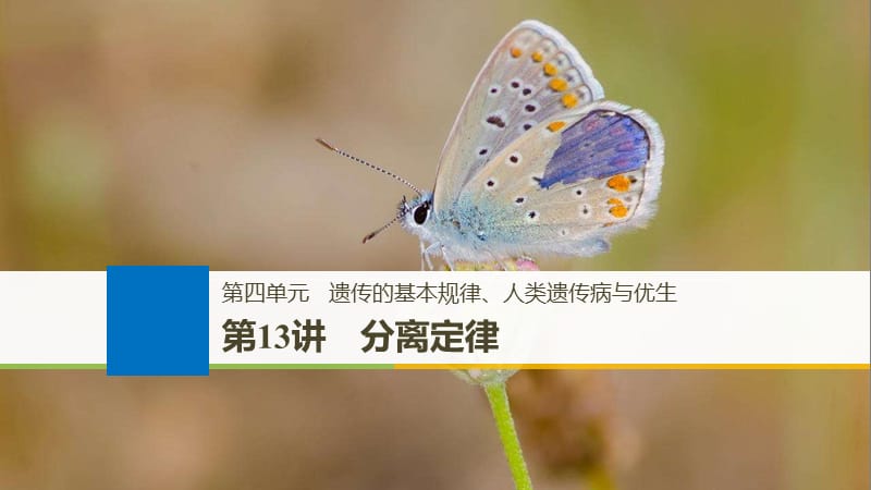 2020版大一轮高三一轮复习系列选考总复习（浙江专版）生物课件：第四单元 遗传的基本规律 第13讲.pptx_第1页