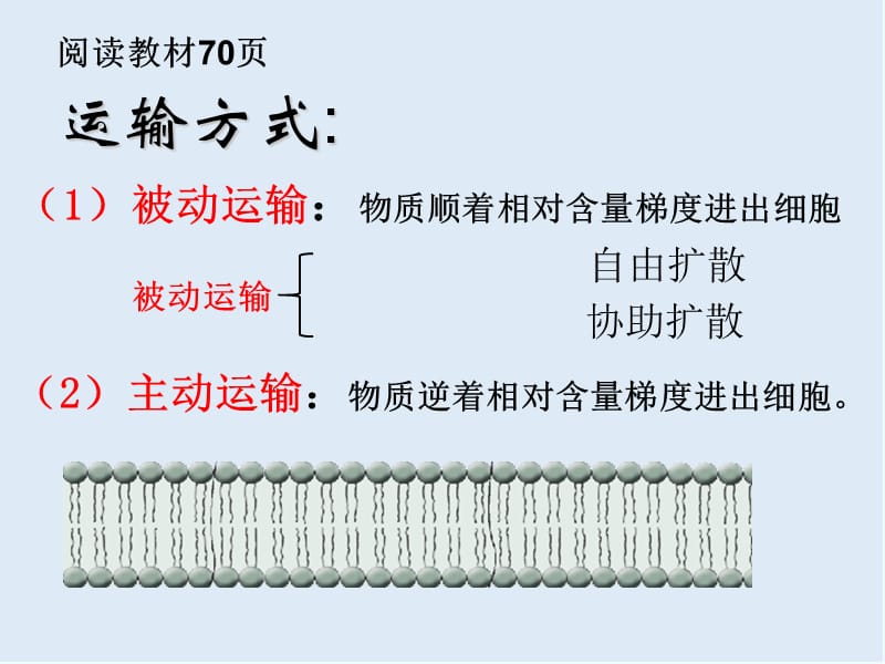 广东省惠州市江南学校人教版高中生物必修一课件：4.3物质跨膜运输的方式 （共34张PPT）.ppt_第3页