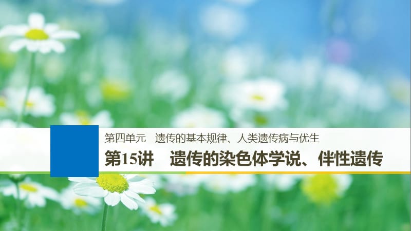 2020版大一轮高三一轮复习系列选考总复习（浙江专版）生物课件：第四单元 遗传的基本规律 第15讲.pptx_第1页