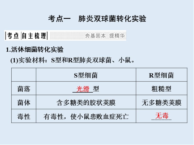 2020版创新高三一轮复习系列选考总复习（浙江专版）生物课件：第14讲核酸是遗传物质的证据.ppt_第3页