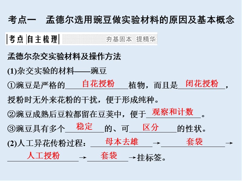 2020版创新高三一轮复习系列选考总复习（浙江专版）生物课件：第11讲分离和自由组合定律.ppt_第3页