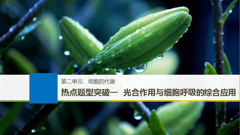 2020版大一轮高三一轮复习系列选考总复习（浙江专版）生物课件：热点题型突破一.pptx_第1页