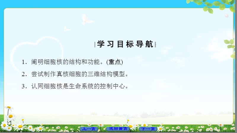 2020版高中生物人教版必修1课件：第3章 第3节 细胞核——系统的控制中心.ppt_第2页