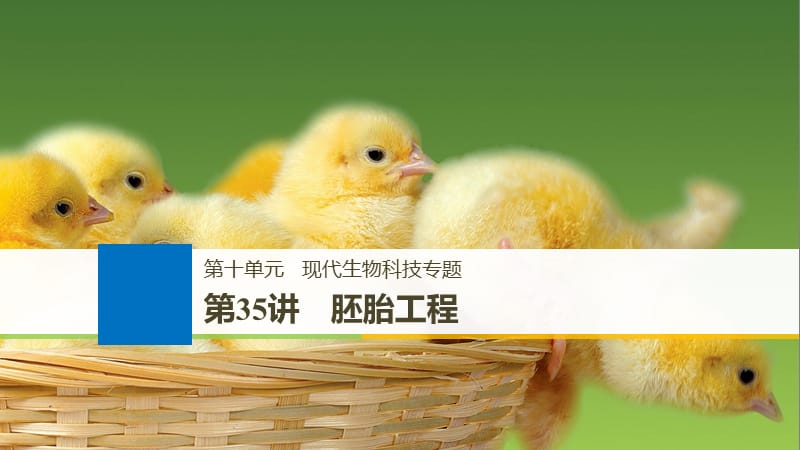 2020版大一轮高三一轮复习系列选考总复习（浙江专版）生物课件：第十单元 生物技术实践 第35讲.pptx_第1页