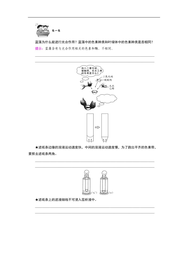 2020版高中生物人教版必修一学案：5.4.1 捕获光能的色素和结构 Word版含答案.doc_第3页