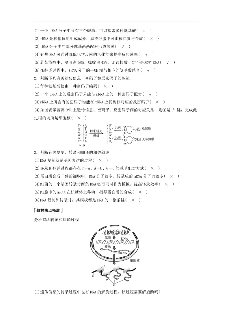 2019-2020学年高考生物大一轮复习学案： 第六单元 遗传的分子基础 第19讲 基因的表达学案.doc_第3页