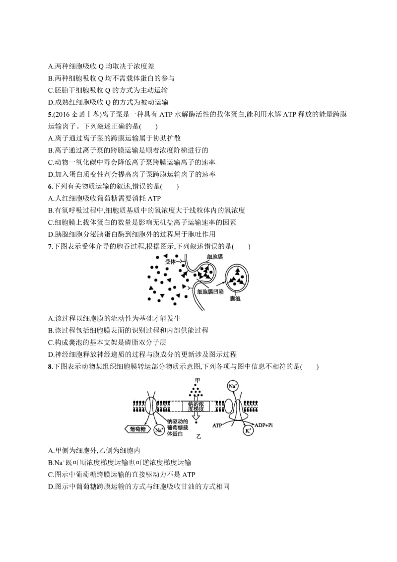 2019高三生物人教版一轮考点规范练：第2单元 细胞的基本结构 细胞的物质输入和输出 6 Word版含解析.docx_第2页