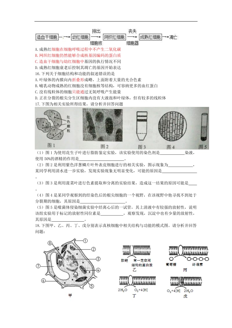 江苏省包场高级中学人教版高中生物高考复习同步测试：必修1训练 （3） Word版含解析.doc_第3页