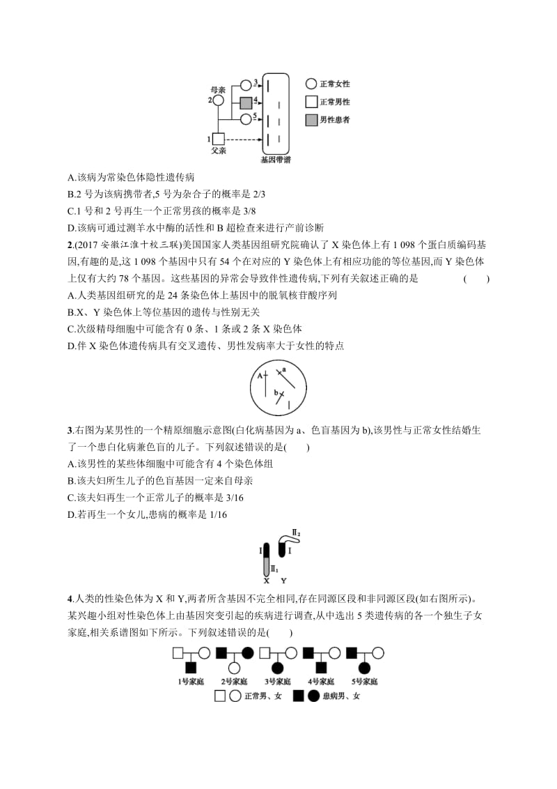 2019高三生物人教版一轮考点规范练：第6单元 伴性遗传 人类遗传病 17 Word版含解析.docx_第3页