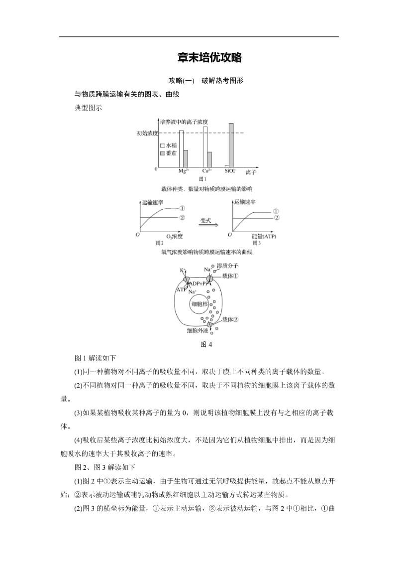 2020版高中生物人教版必修一学案：章末培优攻略4 Word版含答案.doc_第1页