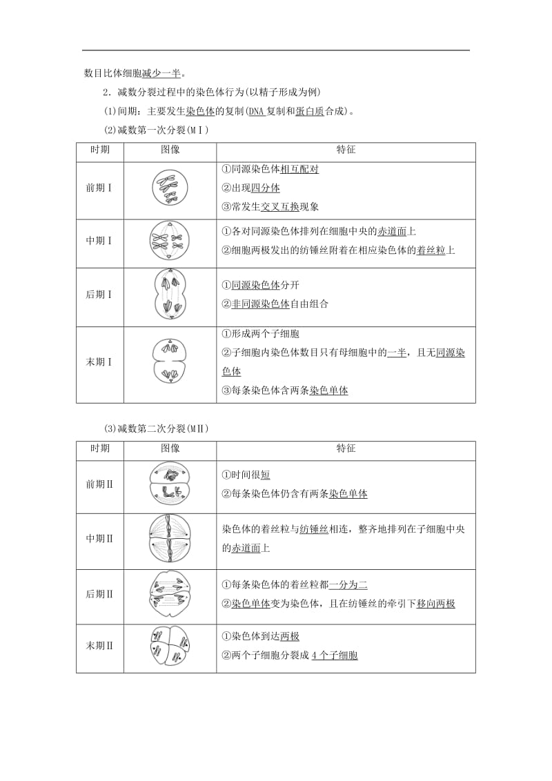 2019-2020学年高中生物第二章染色体与遗传第6课时减数分裂中的染色体变化Ⅰ同步备课教学案浙科版必修2.doc_第3页