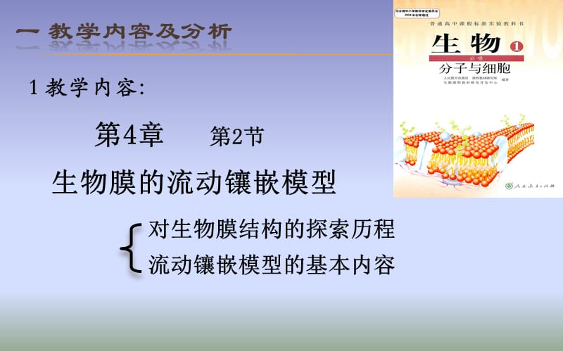 生物膜的流动镶嵌模型.ppt_第2页