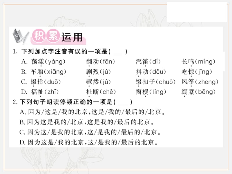 2019秋九年级语文上册第一单元3这是四点零八分的北京习题课件语文版.ppt_第2页