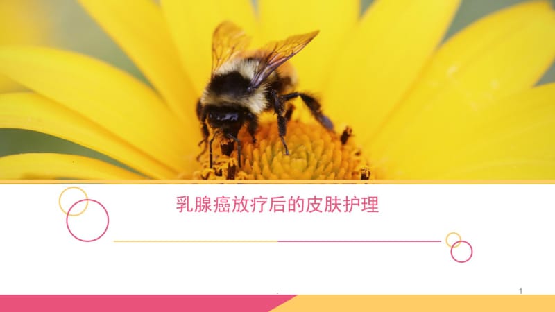 乳腺癌放疗后的皮肤护理医学PPT课件.pdf_第1页