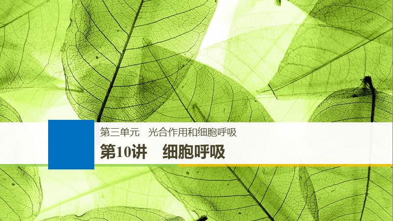 2019届高三一轮复习备考生物苏教专版一体资料课件：第三单元 光合作用和细胞呼吸 第10讲 .pptx_第1页