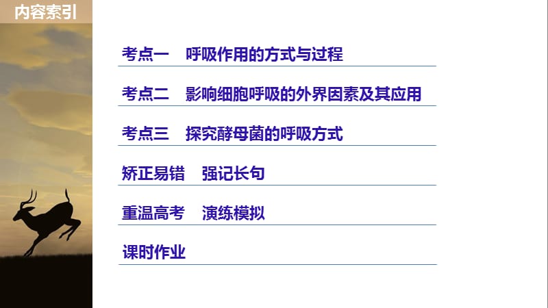 2019届高三一轮复习备考生物苏教专版一体资料课件：第三单元 光合作用和细胞呼吸 第10讲 .pptx_第3页