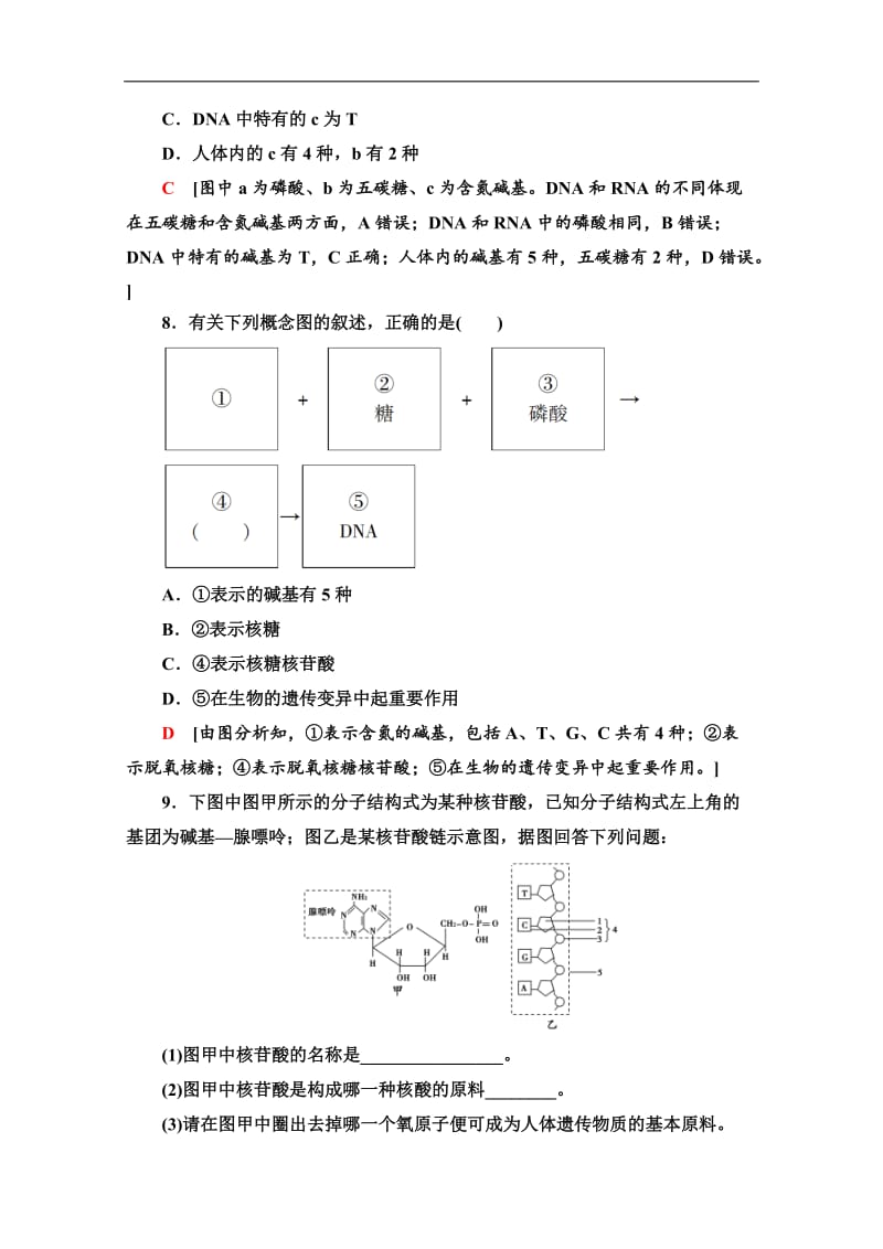 2019-2020同步新教材人教生物必修一新突破课时分层作业：7　核酸是遗传信息的携带者 Word版含解析.doc_第3页