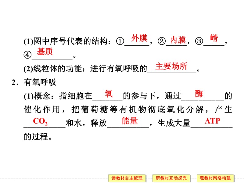 2020版高中生物人教版必修一课件：5.3.2 细胞呼吸的原理和应用 .pdf_第3页