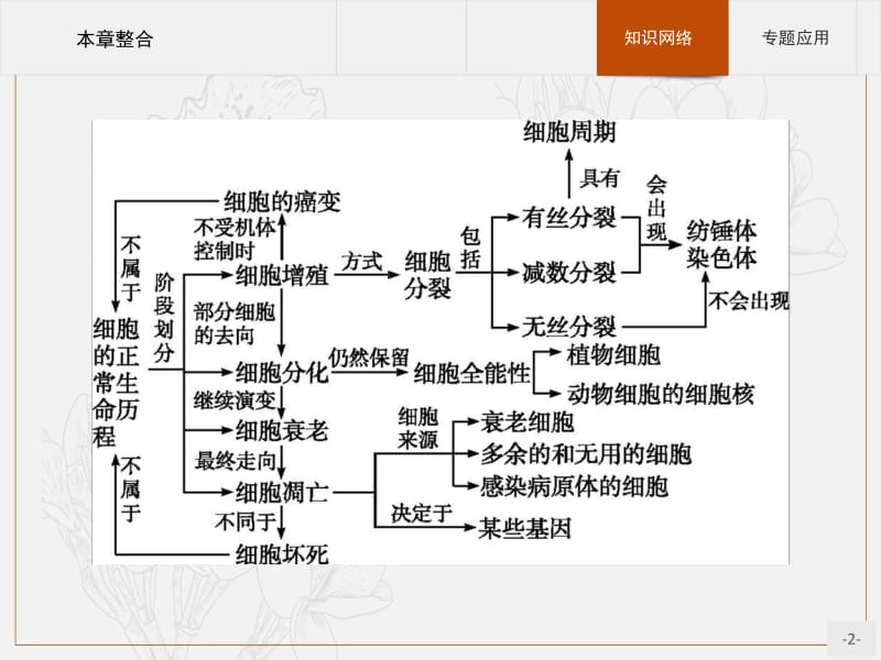 2019版生物人教版必修1课件：第6章 细胞的生命历程 本章整合 .pdf_第2页