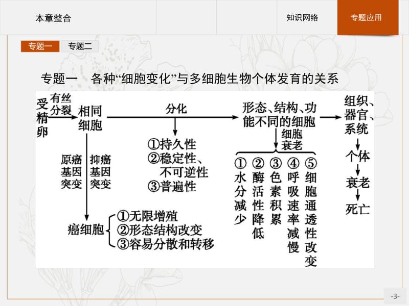 2019版生物人教版必修1课件：第6章 细胞的生命历程 本章整合 .pdf_第3页