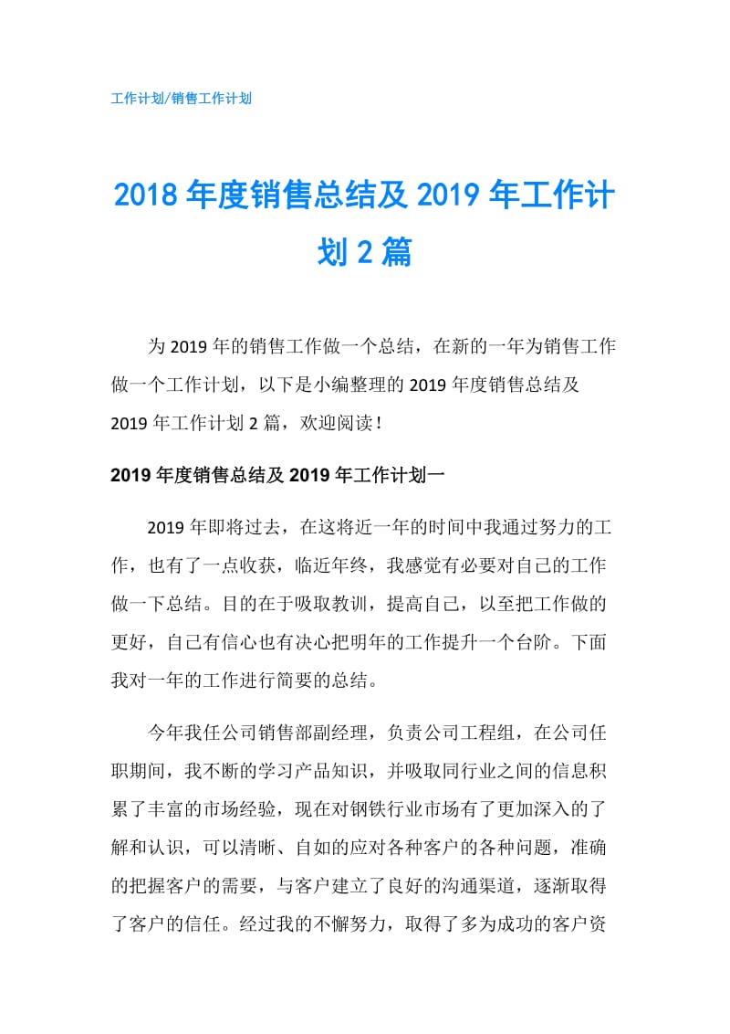 2018年度销售总结及2019年工作计划2篇.doc_第1页