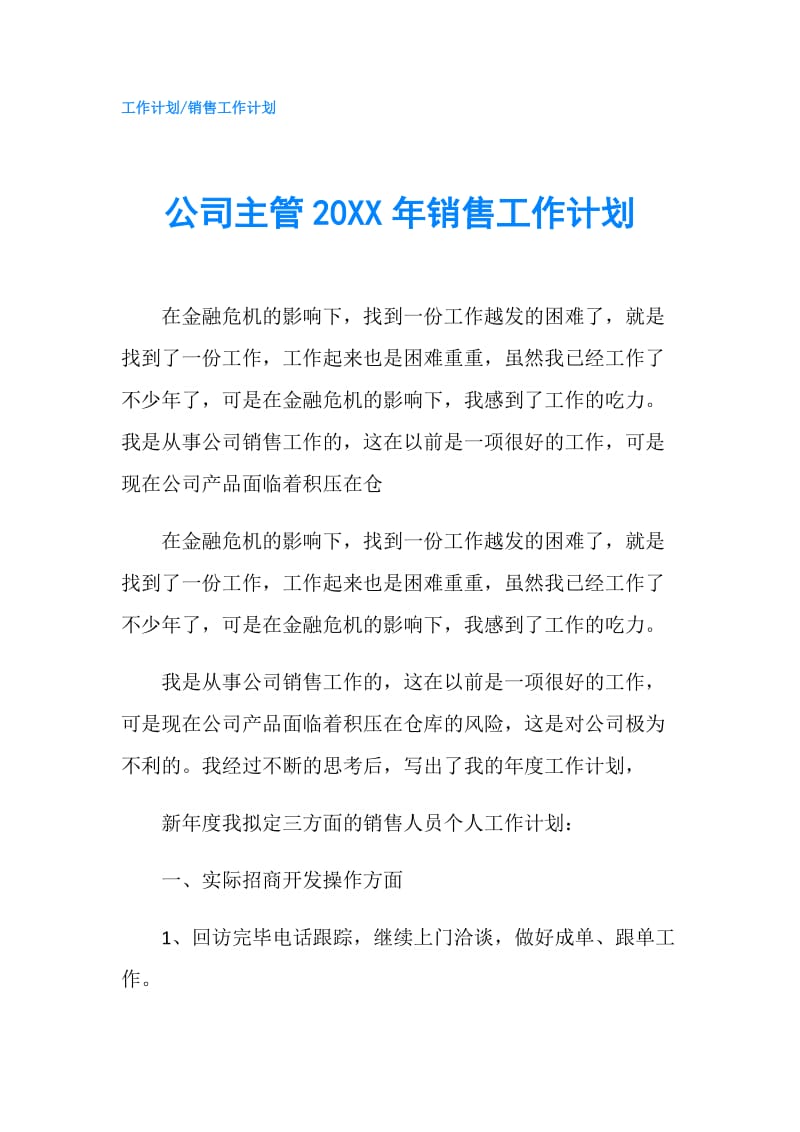 公司主管20XX年销售工作计划.doc_第1页