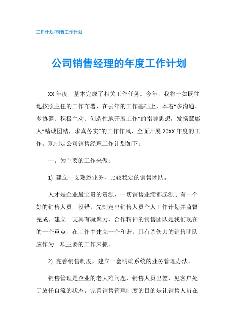 公司销售经理的年度工作计划.doc_第1页