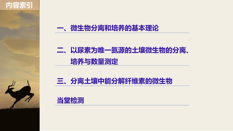 2019_2020学年高二苏教版生物选修一课件：1.2 分离特定的微生物并测定其数量 .pdf_第3页