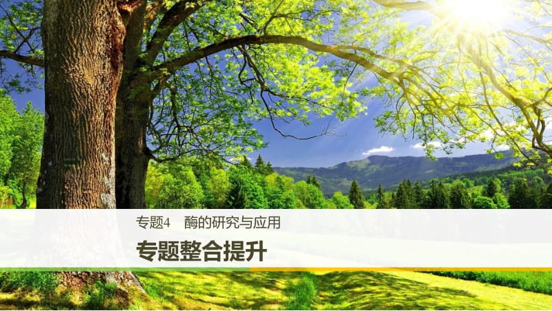 2019_2020学年高二人教版生物选修一课件：专题整合提升：专题4 酶的研究与应用 .pdf_第1页