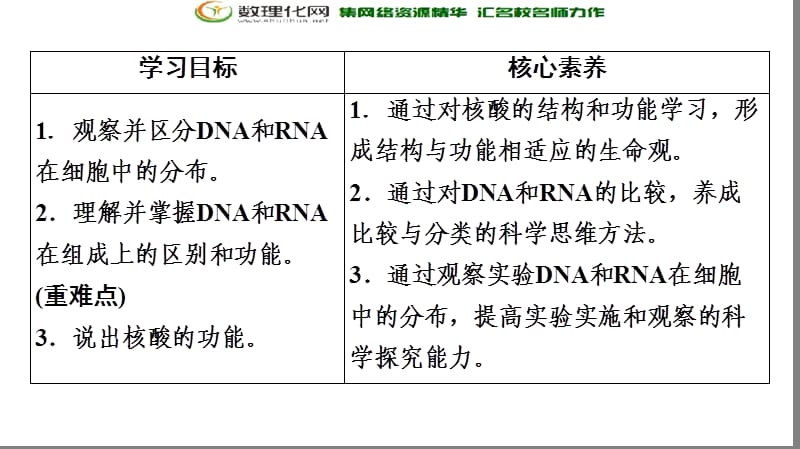 2019-2020学年人教版生物必修一课件：第2章 第3节　遗传信息的携带者——核酸 .ppt_第2页