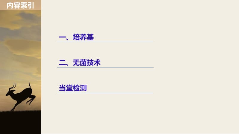 2019_2020学年高二人教版生物选修一课件：2.1 微生物的实验室培养（一） .pdf_第3页