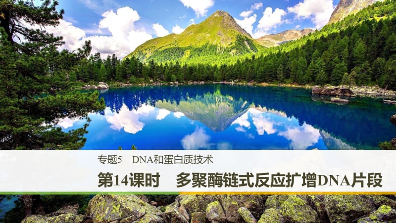 2019_2020学年高二人教版生物选修一课件：5.2 多聚酶链式反应扩增DNA片段 .pdf_第1页