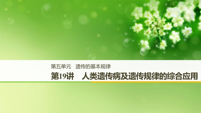 2020高考生物一轮复习课件：第五单元 第19讲 人类遗传病及遗传规律的综合应用 .pdf_第1页