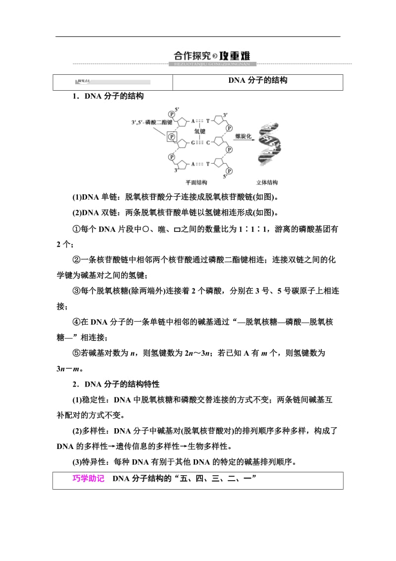 2019-2020学年人教版生物必修二讲义：第3章 第2节　DNA分子的结构 Word版含答案.doc_第3页