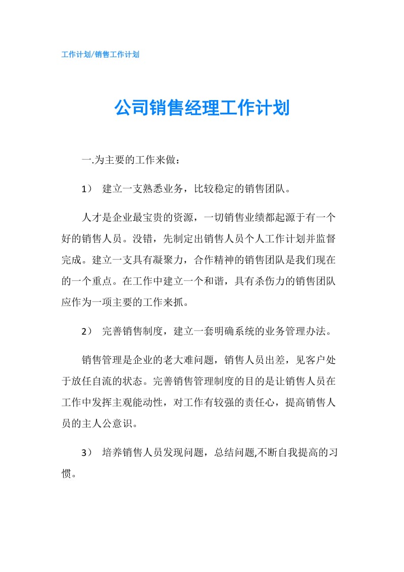 公司销售经理工作计划.doc_第1页