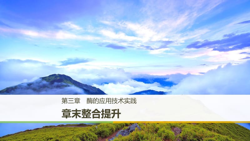 2019_2020学年高二苏教版生物选修一课件：章末整合提升：第三章 酶的应用技术实践 .pdf_第1页