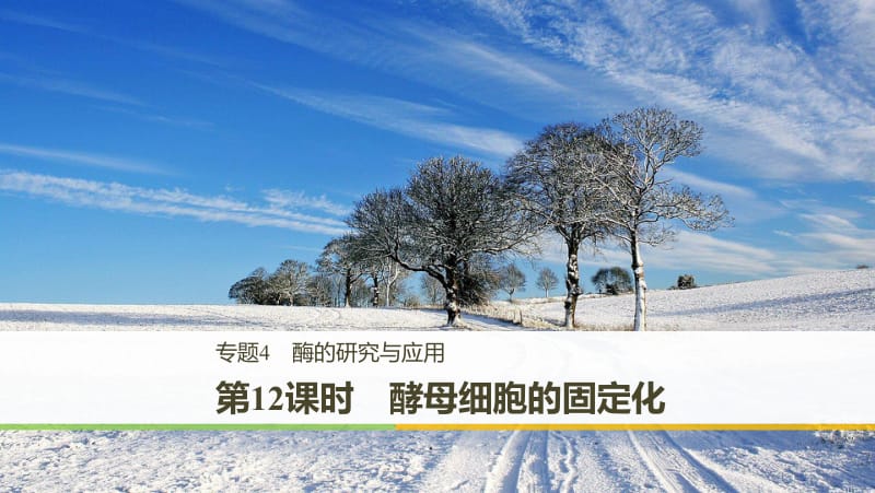 2019_2020学年高二人教版生物选修一课件：4.3 酵母细胞的固定化 .pdf_第1页