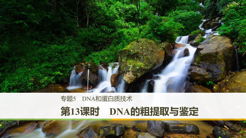 2019_2020学年同步备课套餐之生物人教版选修1课件：专题5　DNA和蛋白质技术 第13课时 .pdf_第1页