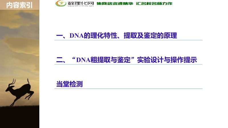 2019_2020学年同步备课套餐之生物人教版选修1课件：专题5　DNA和蛋白质技术 第13课时 .pdf_第3页