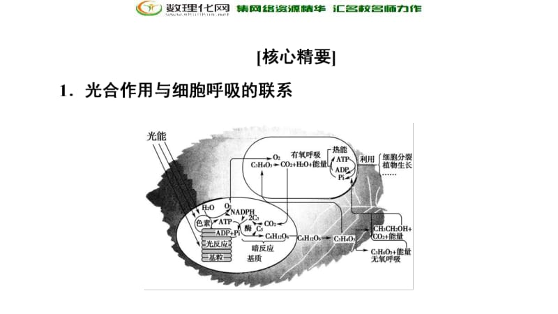 2019-2020同步新教材人教生物必修一新突破课件：第5章 素能提升课 光合作用与细胞呼吸的综合 .pdf_第2页