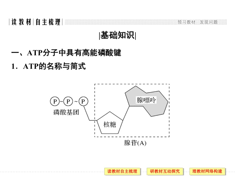 2020版高中生物人教版必修一课件：5.2 细胞的能量“通货”——ATP .pdf_第2页