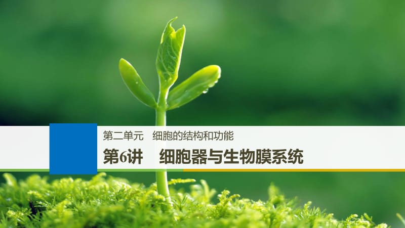 2019届高三一轮复习备考生物苏教专版一体资料课件：第二单元 细胞的结构和功能 第6讲 .pdf_第1页