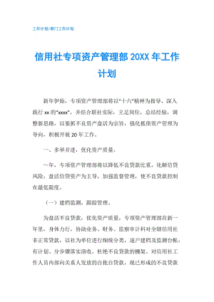 信用社专项资产管理部20XX年工作计划.doc