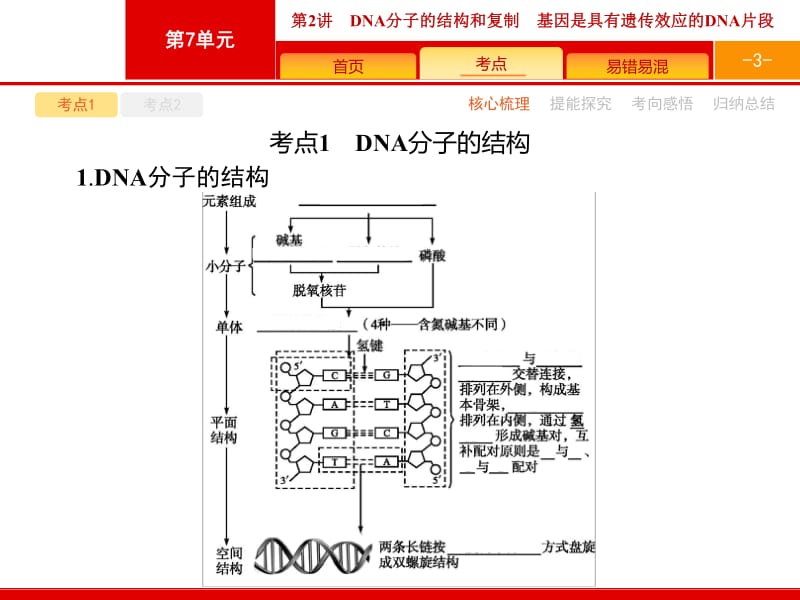 2019高三生物人教版一轮课件：第7单元 遗传的分子基础 7.2 .pdf_第3页